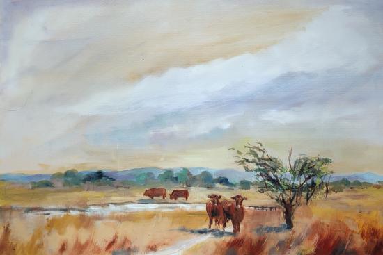 Cattle on the dunes