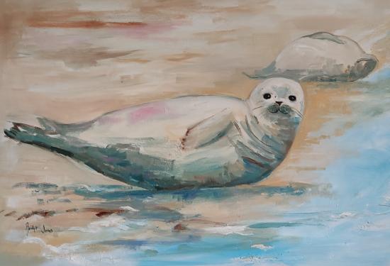 Seal Pup at Coast