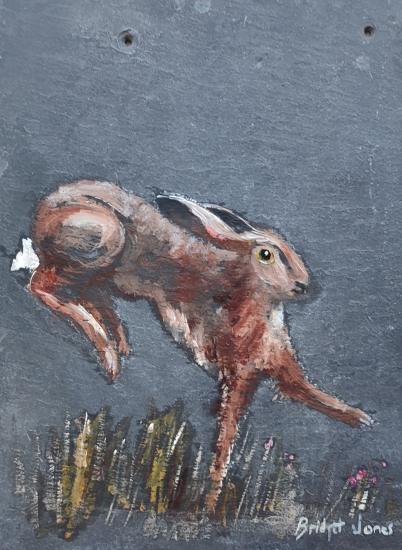 Hare Leaping
