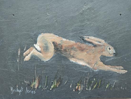 Hare at Speed