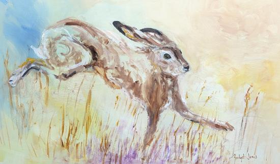 Hare in Summer Field